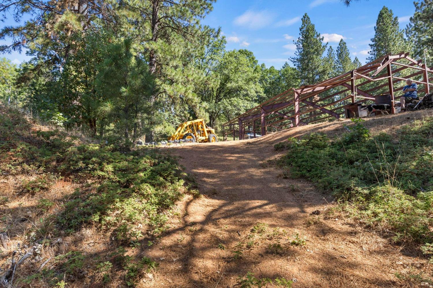 25251 Canterbury Road Pioneer, CA 95666 - Photo 29 of 35 a view of a yard with plants and trees