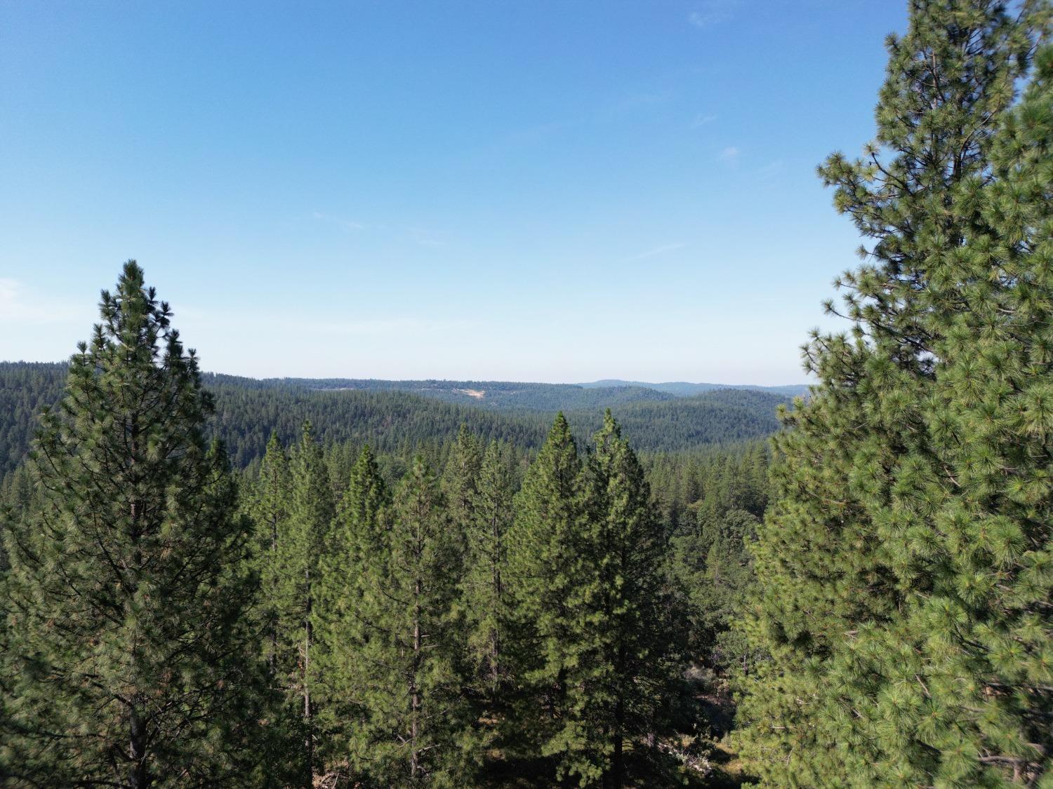 25251 Canterbury Road Pioneer, CA 95666 - Photo 3 of 35