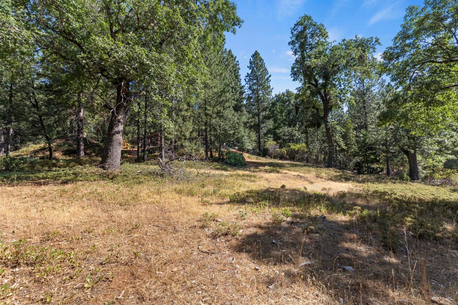 25251 Canterbury Road Pioneer, CA 95666 - Photo 31 of 33 a view of outdoor space with trees