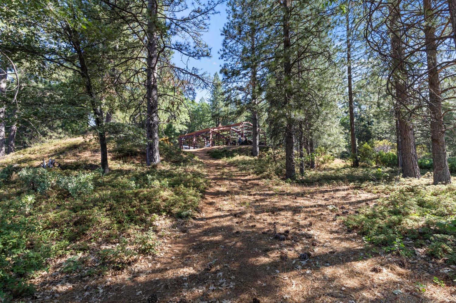 25251 Canterbury Road Pioneer, CA 95666 - Photo 34 of 35 a backyard of a house with lots of green space
