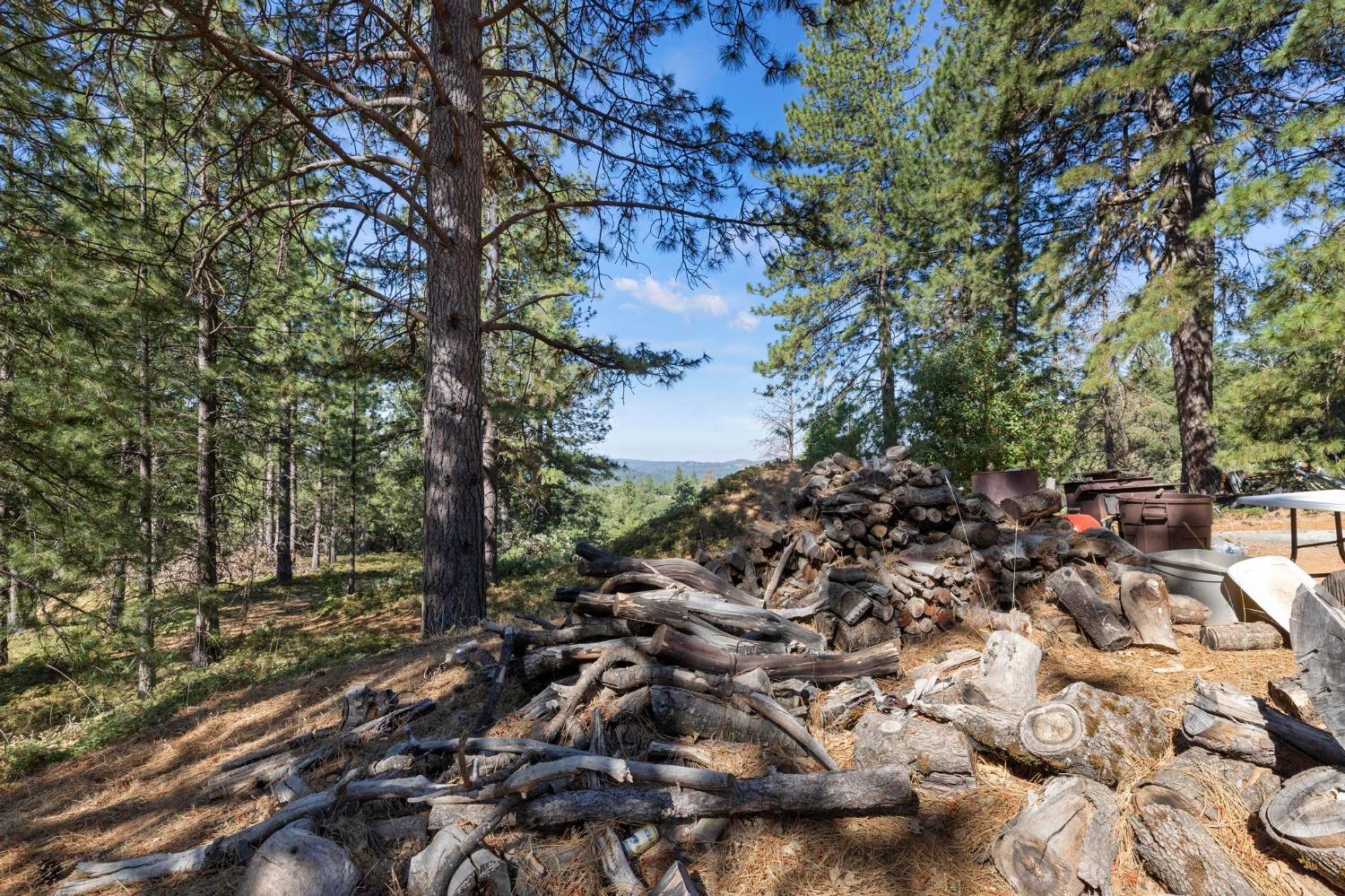 25251 Canterbury Road Pioneer, CA 95666 - Photo 4 of 35 an aerial view of a house with a yard