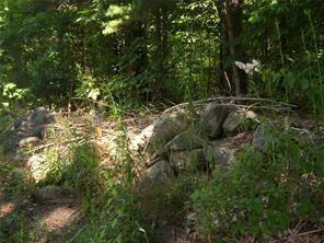 88 Browns Cove Road Round Pond, ME 04564 - Photo 9 of 11 Old stone wall as boundry