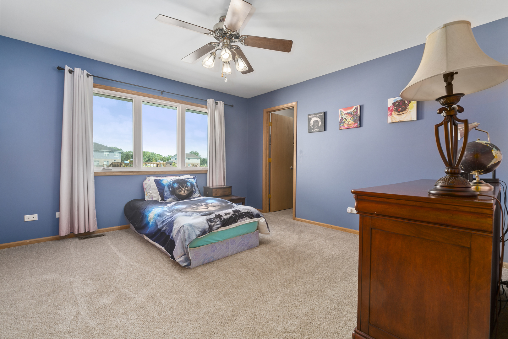 716 South Anderson Road New Lenox, IL 60451 - Photo 19 of 41