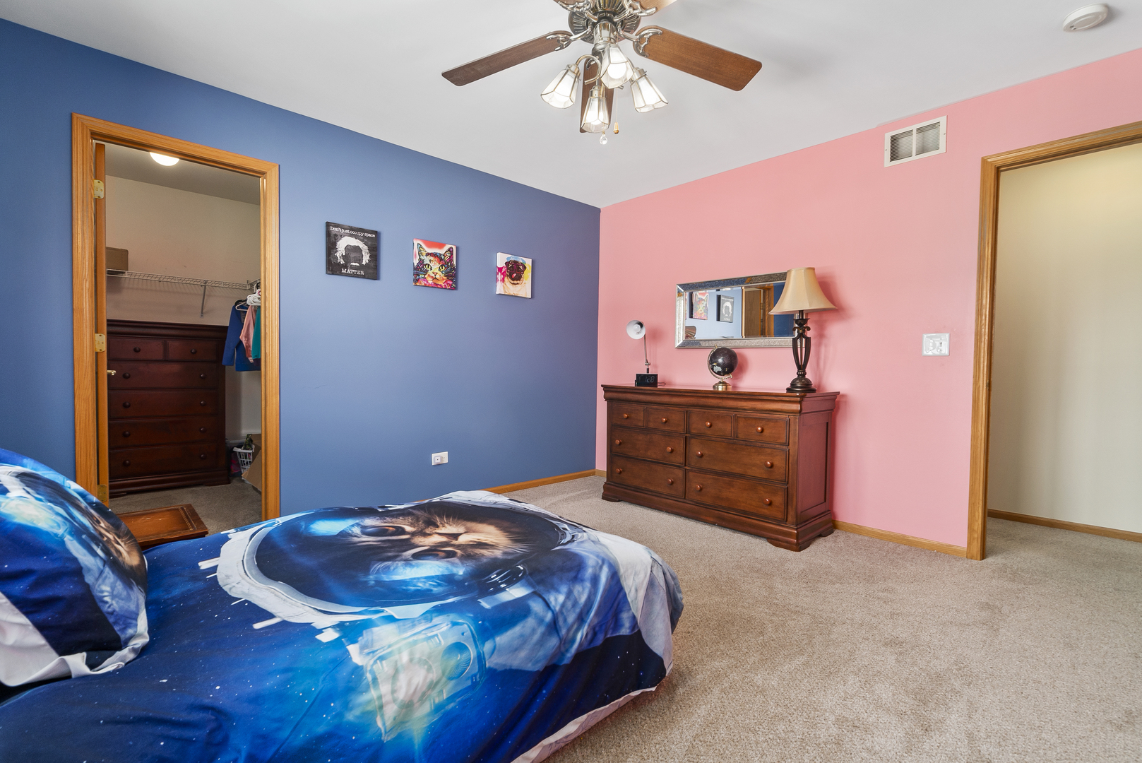 716 South Anderson Road New Lenox, IL 60451 - Photo 20 of 41
