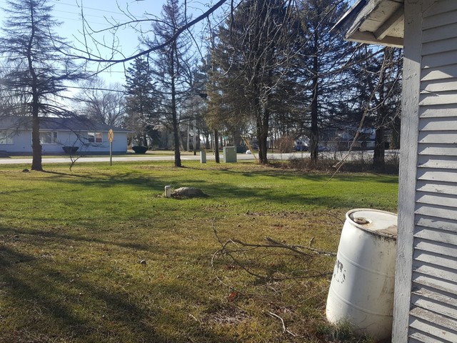 745 North 39th Road Triumph, IL 61371 - Photo 3 of 11