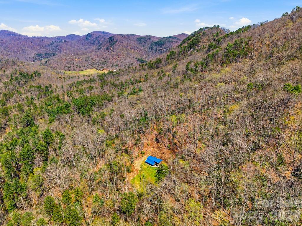 3138 Buffalo Creek Road Lake Lure, NC 28746 - Photo 3 of 37