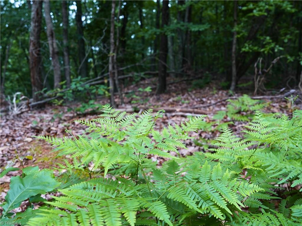 7890 Sontag Road Rocky Mount, VA 24151 - Photo 12 of 28 Gallery Image 12