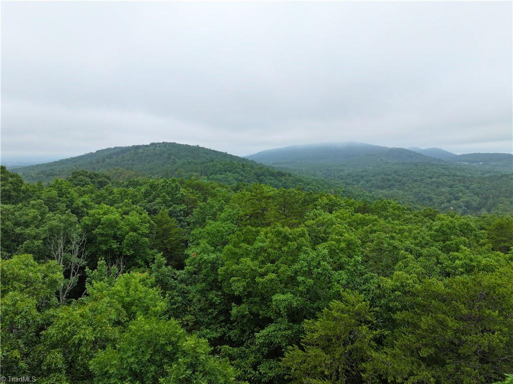 7890 Sontag Road Rocky Mount, VA 24151 - Photo 15 of 28 Gallery Image 15