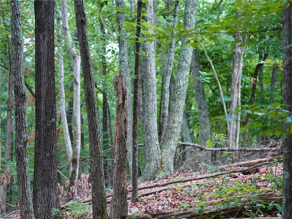 7890 Sontag Road Rocky Mount, VA 24151 - Photo 24 of 28 Gallery Image 24