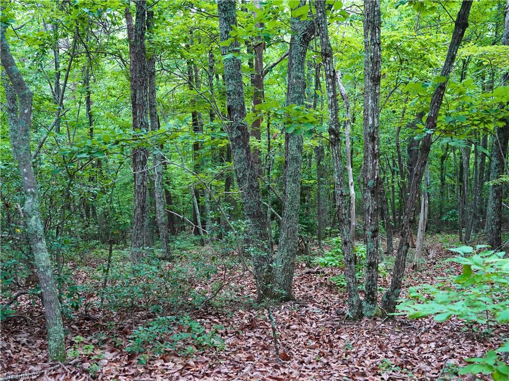 7890 Sontag Road Rocky Mount, VA 24151 - Photo 6 of 28 Gallery Image 6
