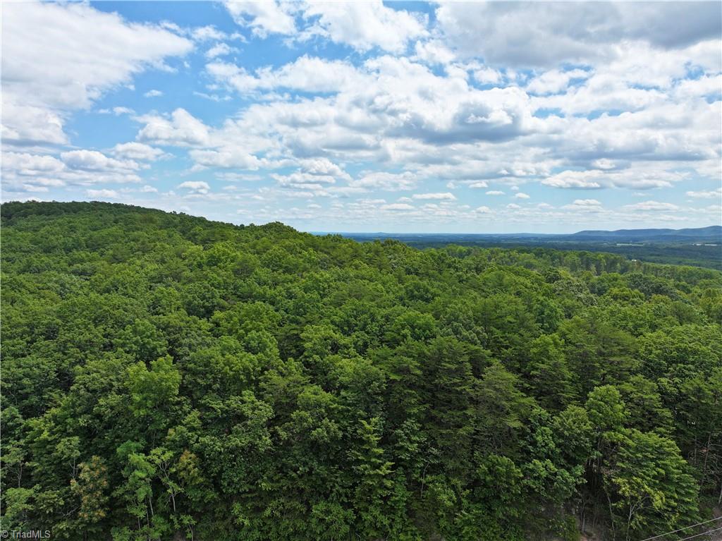 7890 Sontag Road Rocky Mount, VA 24151 - Photo 9 of 28 Gallery Image 9