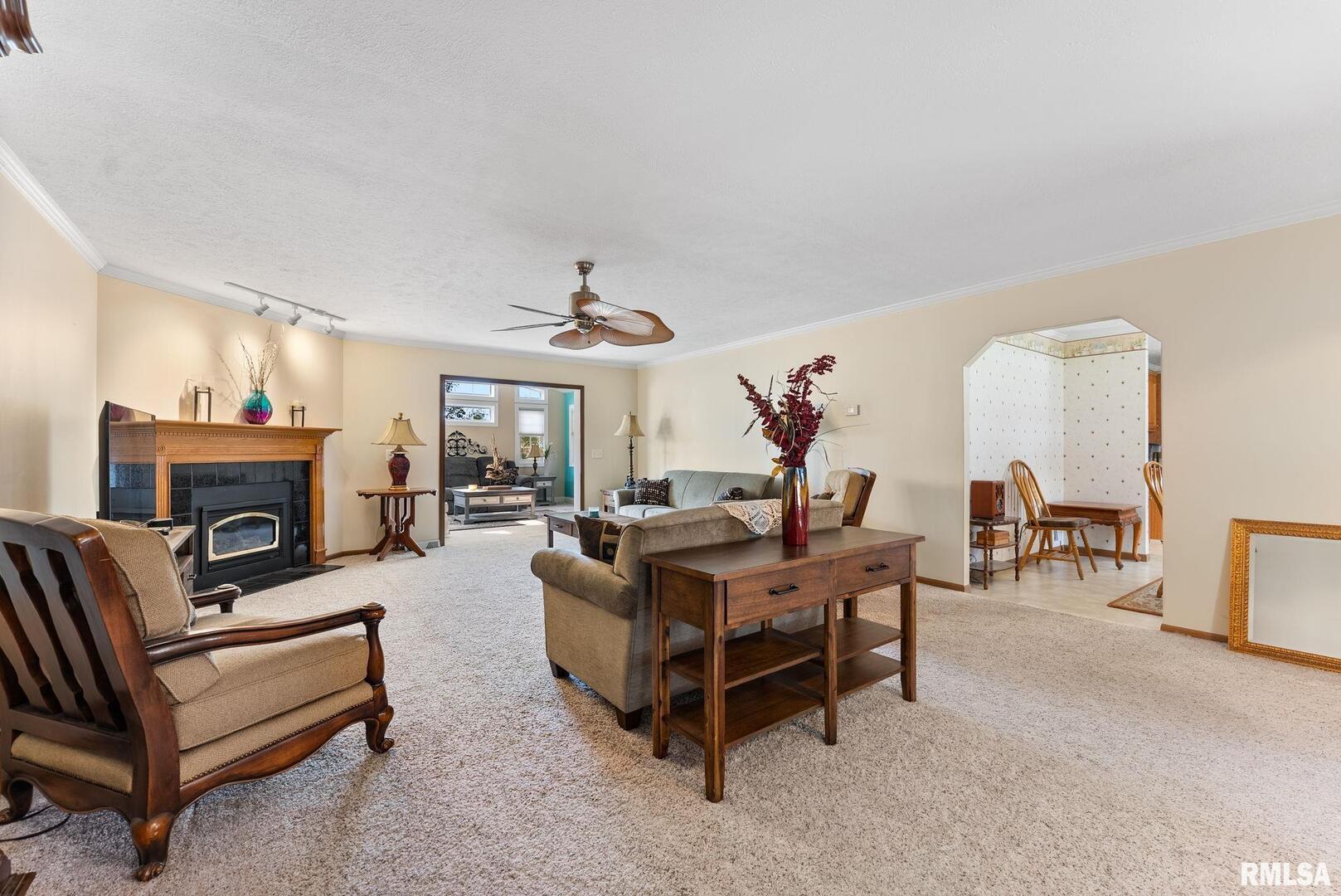 225 Carroll Street Colona, IL 61241 - Photo 3 of 27