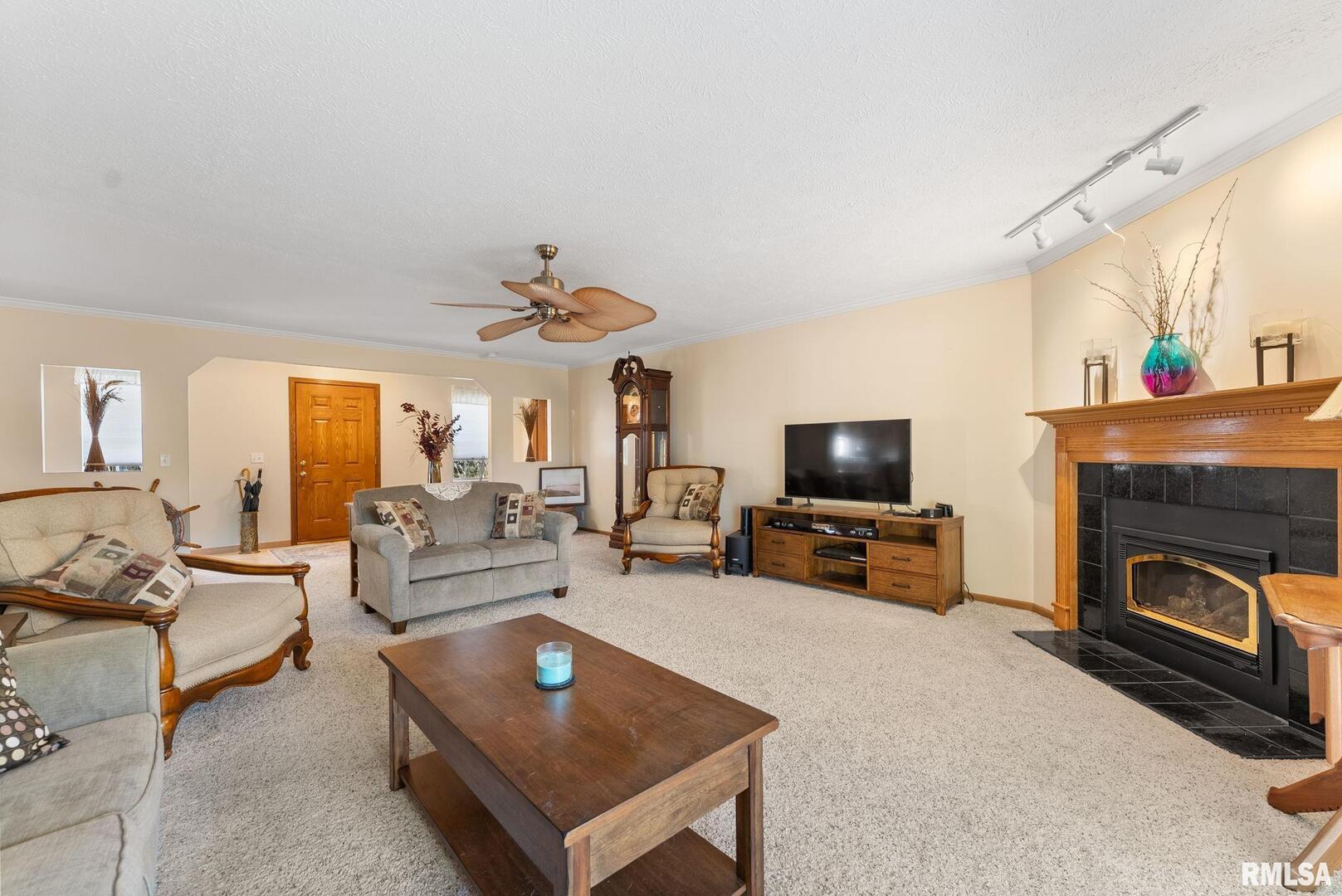 225 Carroll Street Colona, IL 61241 - Photo 5 of 27