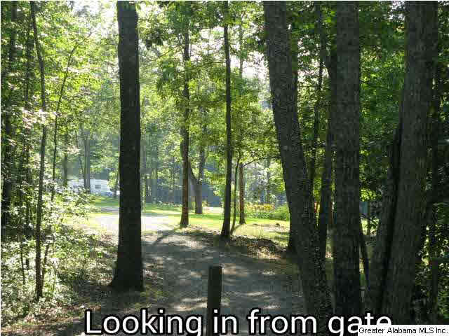 403 Dewberry Lane Springville, AL 35146 - Photo 4 of 4