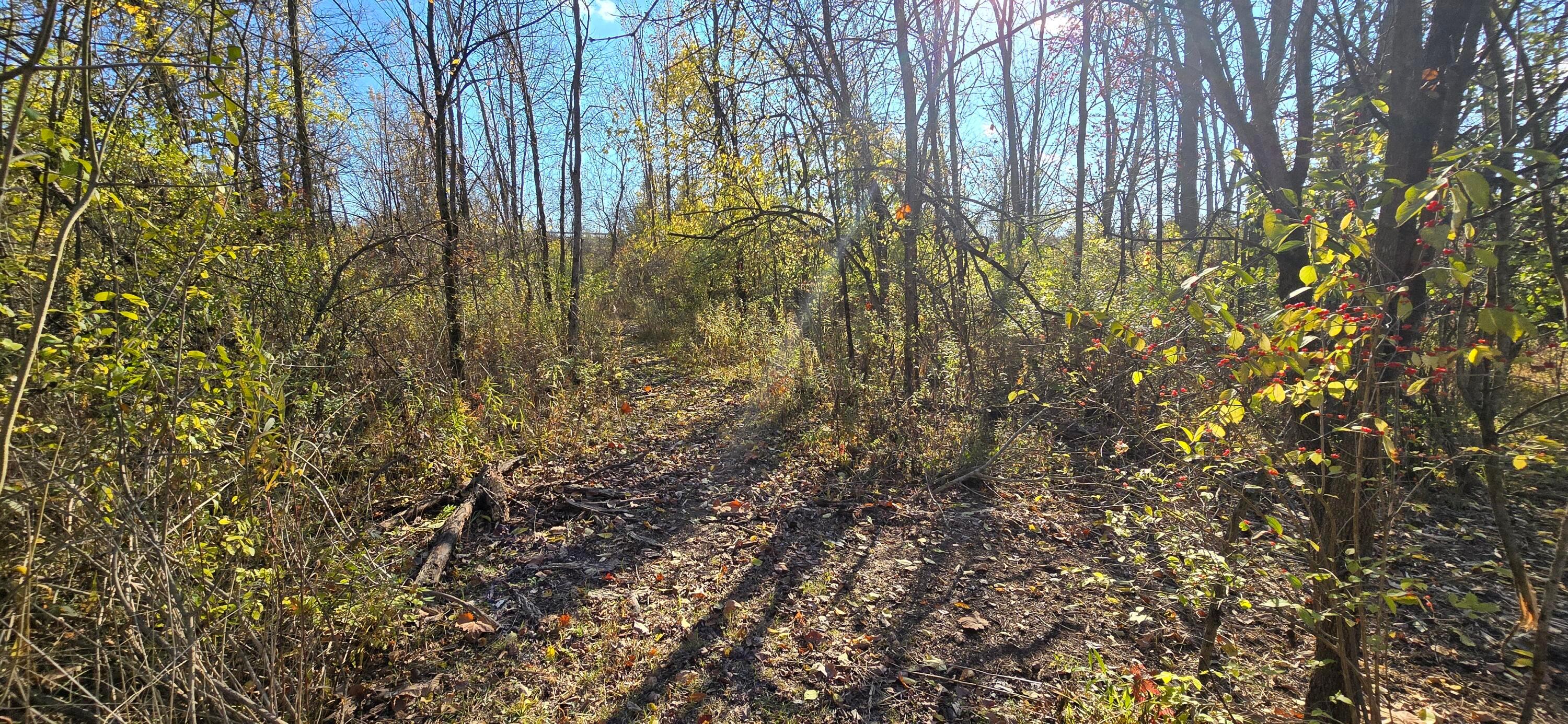 3480 Ostrander Road Ostrander, OH 43061 - Photo 58 of 59 58-Additional Land