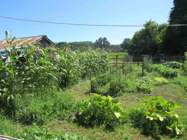 $75,900 | 258 Elm Street, Barton, VT 05822