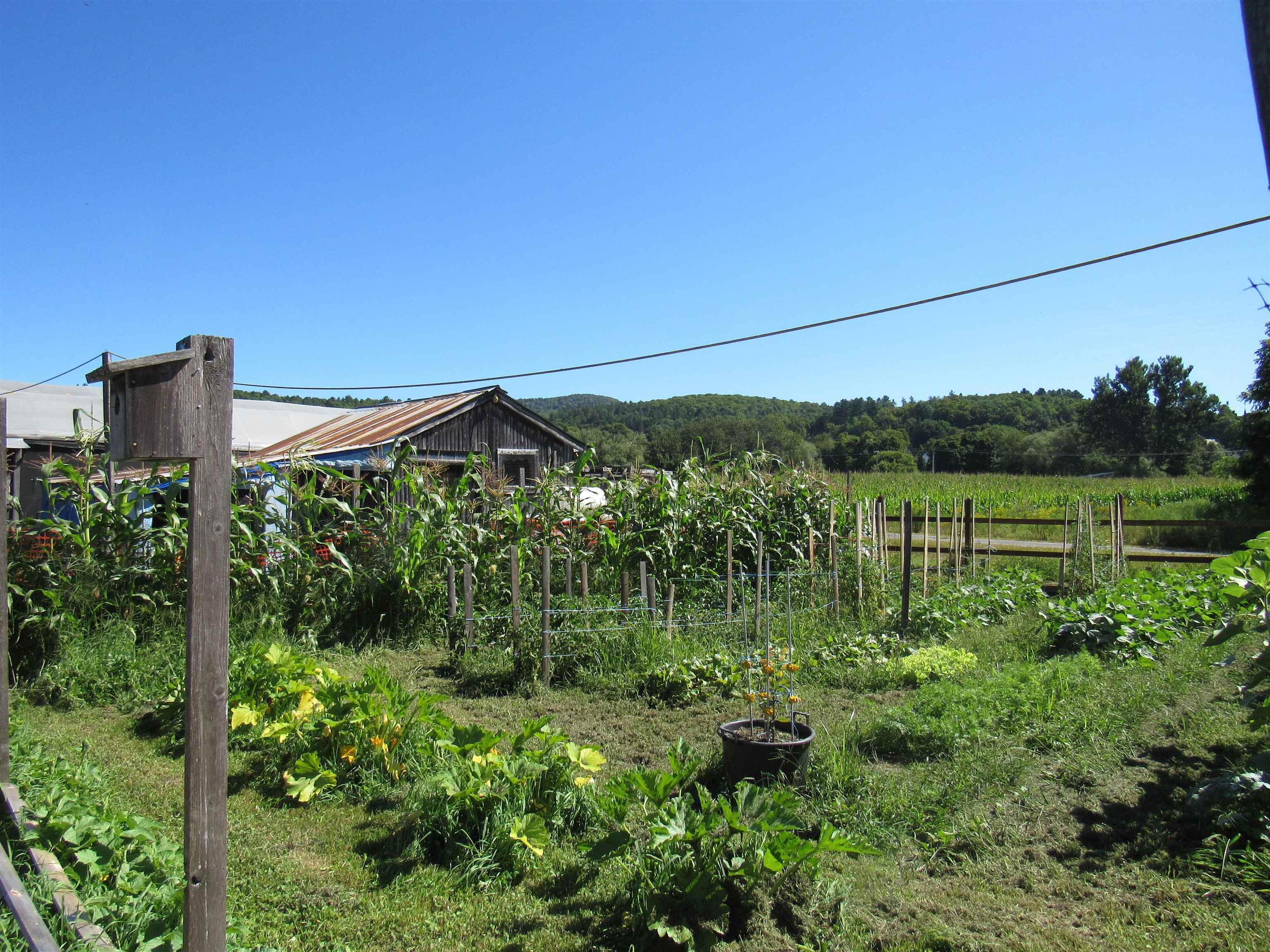 258 Elm Street Barton, VT 05822 - Photo 9 of 11
