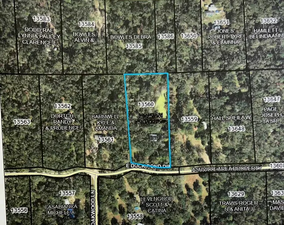 $125,000 | 455 Duck Pond Drive, Greenville, FL 32331