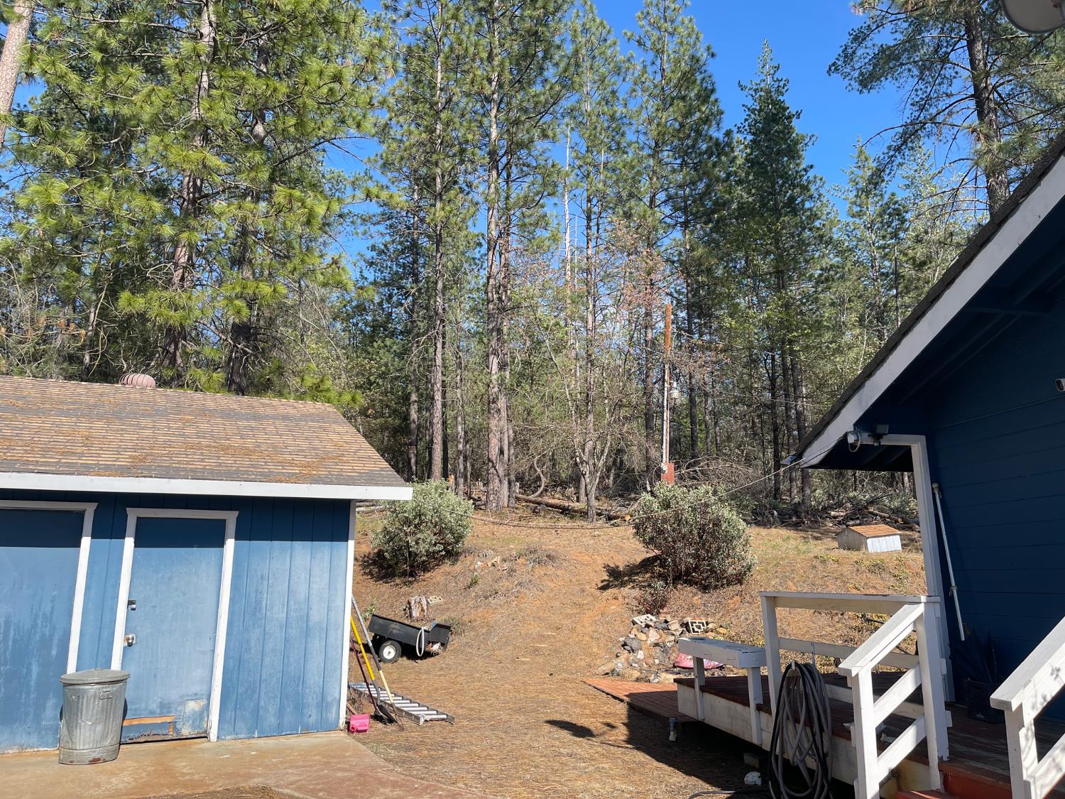 10658 Dexter Road Coulterville, CA 95311 - Photo 3 of 4 a view of backyard of house