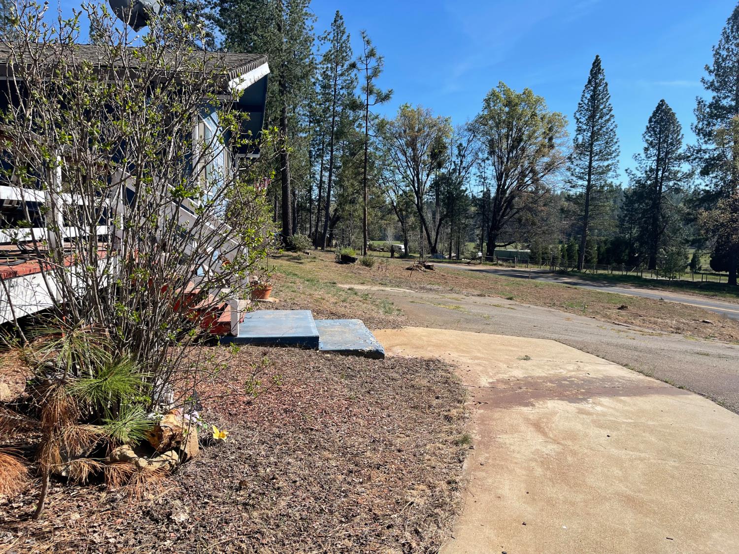 10658 Dexter Road Coulterville, CA 95311 - Photo 4 of 4 a view of a backyard of a house