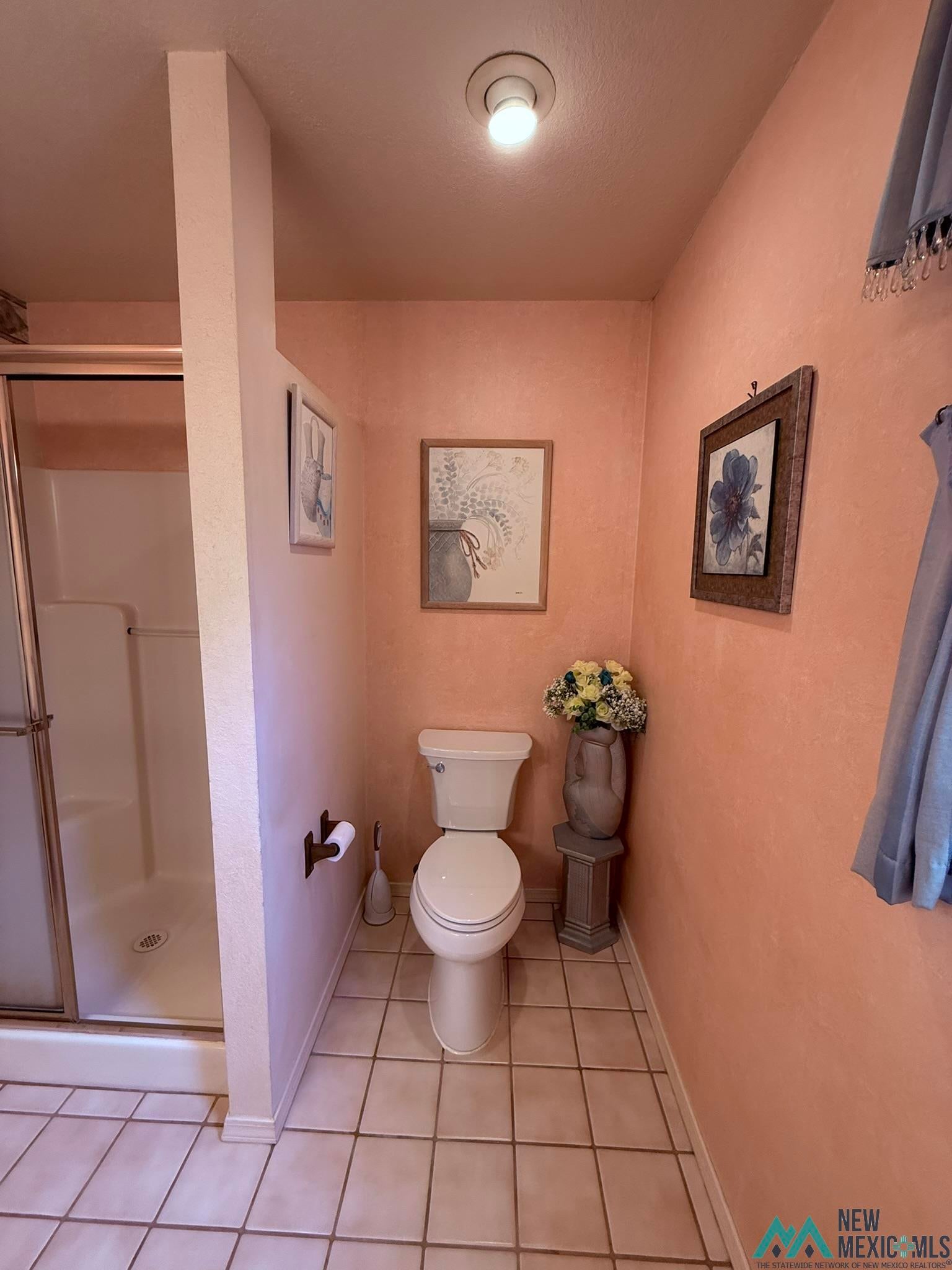 300 Rio Grande Circle Elephant Butte, NM 87935 - Photo 23 of 99 Shower enclosure with clear glass door, ceramic tile flooring, and a white toilet