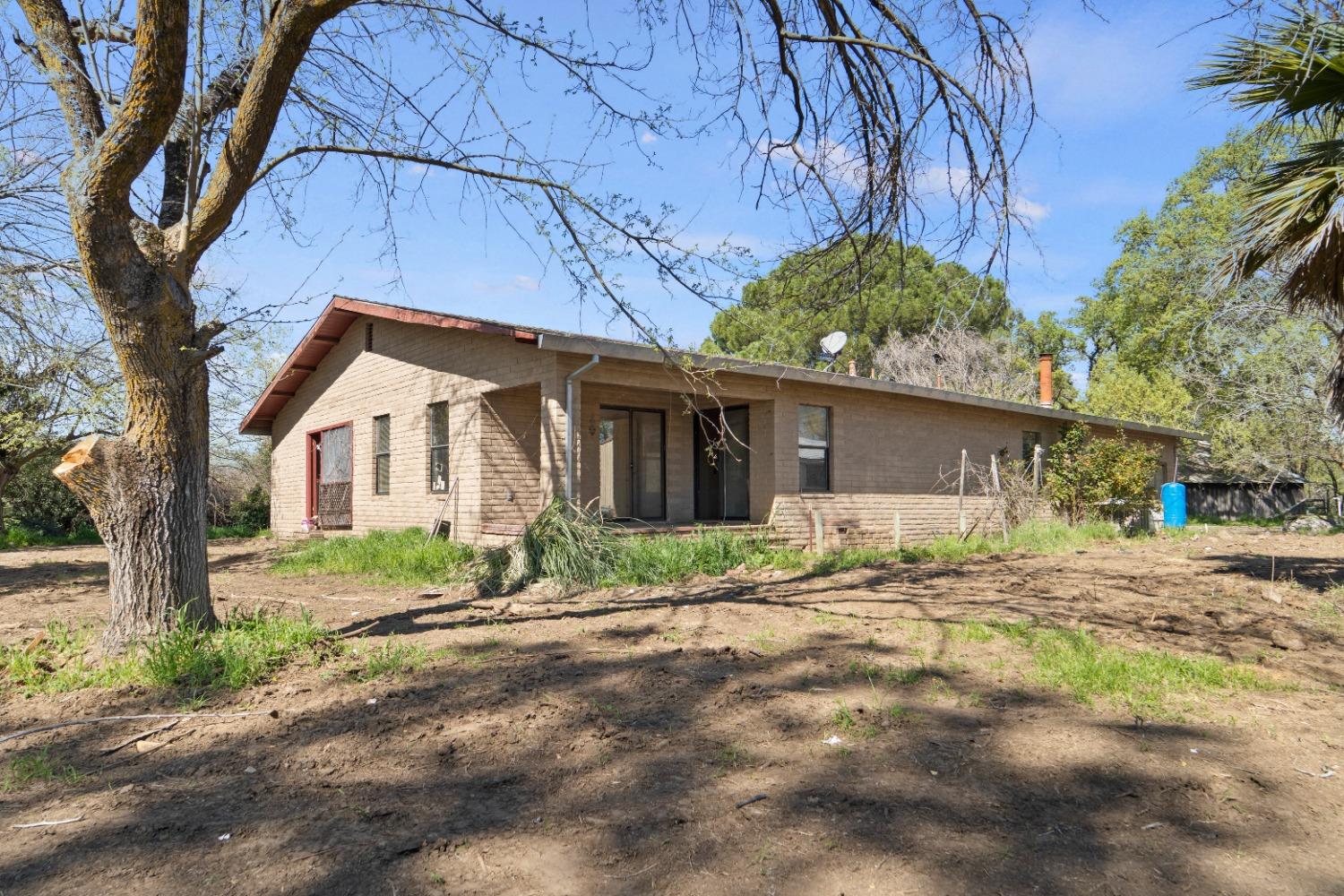 15595 Highway 16 Capay, CA 95607 - Photo 37 of 68 a view of a house with a yard and large tree
