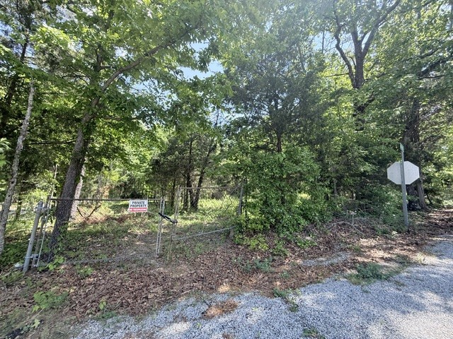 921 Eli Road Bon Aqua, TN 37025 - Photo 3 of 3 a view of a forest with trees in the background