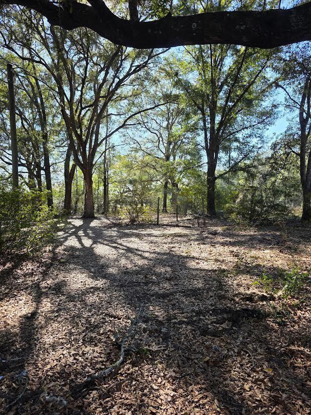 4977 Douglas Ferry Road Caryville, FL 32427 - Photo 14 of 16 a view of backyard with green space