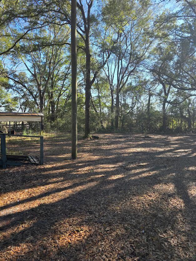 4977 Douglas Ferry Road Caryville, FL 32427 - Photo 15 of 16 a view of road and trees