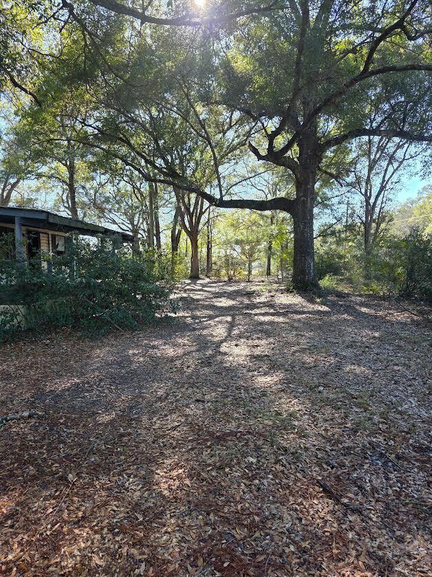 4977 Douglas Ferry Road Caryville, FL 32427 - Photo 5 of 16 a view of dirt yard with a tree