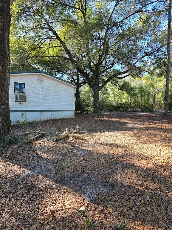 4977 Douglas Ferry Road Caryville, FL 32427 - Photo 6 of 16 a view of a yard with large tree