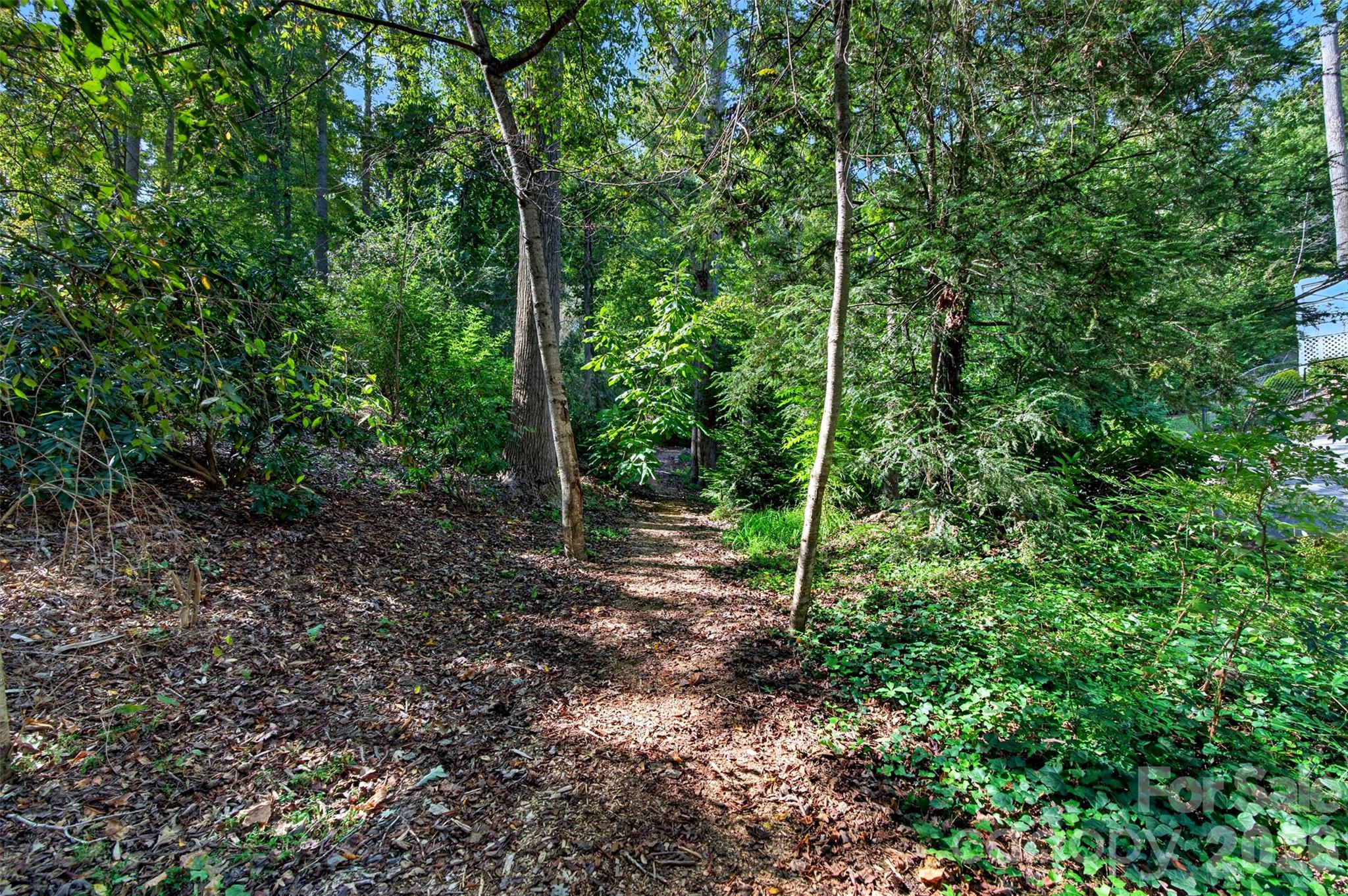 14 Willow Road Asheville, NC 28804 - Photo 36 of 39 Gallery Image 36