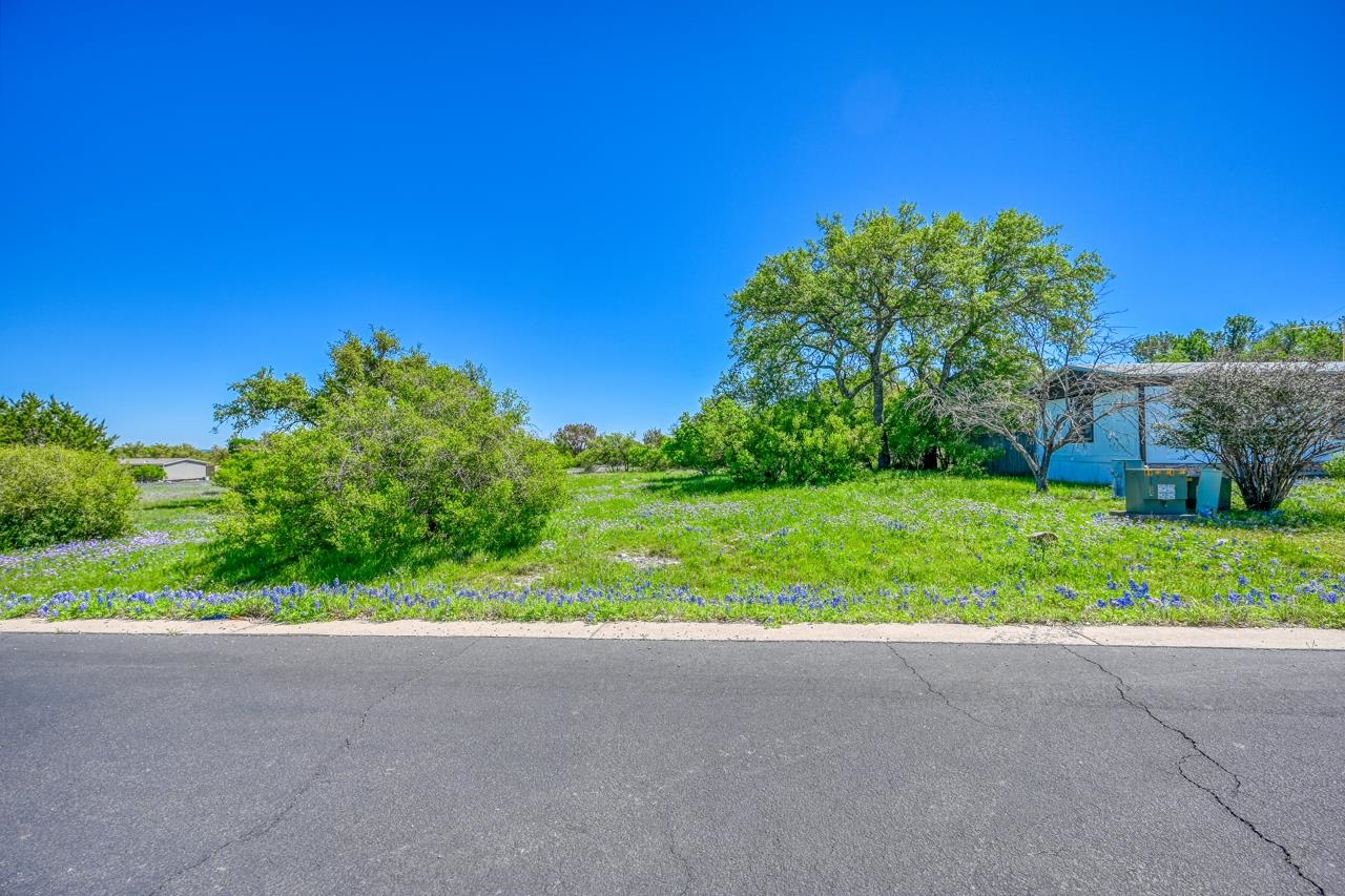 Tbd Lost Creek Road Thorndale, TX 76577 - Photo 13 of 15 a view of a big yard with potted plants and large trees