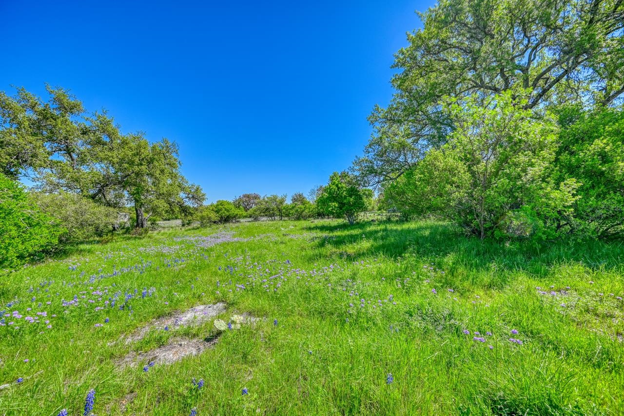 Tbd Lost Creek Road Thorndale, TX 76577 - Photo 15 of 15 a view of a lush green space