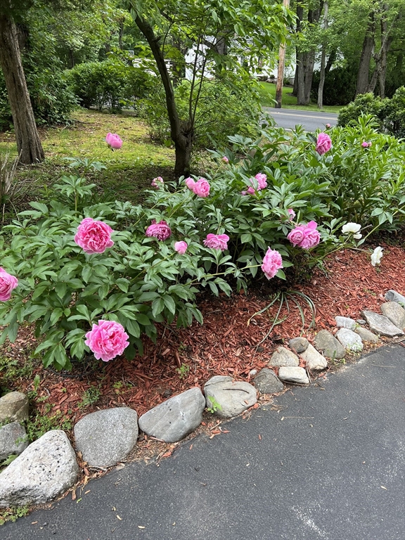 116 Greenwood Road Andover, MA 01810 - Photo 40 of 42 Gallery Image 40