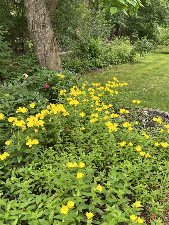 116 Greenwood Road Andover, MA 01810 - Photo 41 of 42 Gallery Image 41