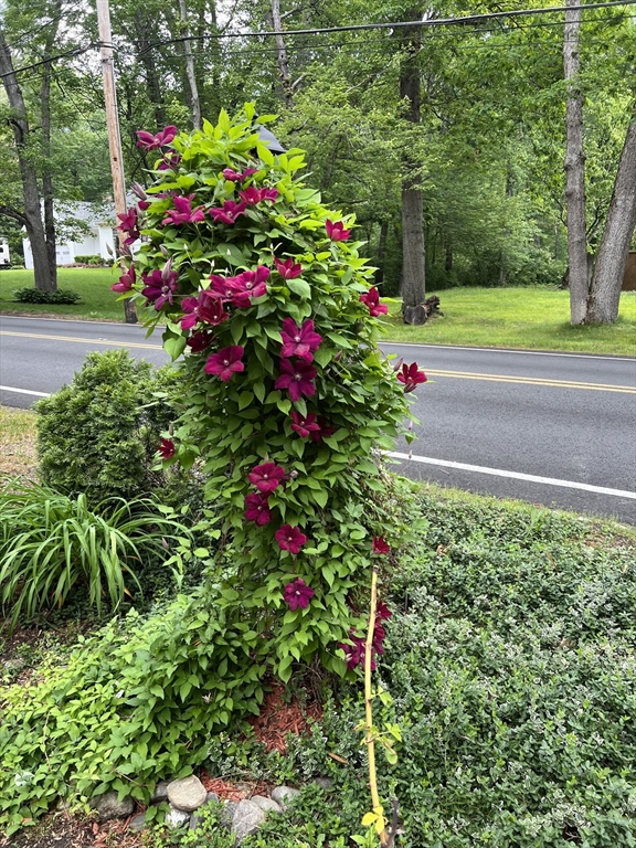 116 Greenwood Road Andover, MA 01810 - Photo 42 of 42 Gallery Image 42