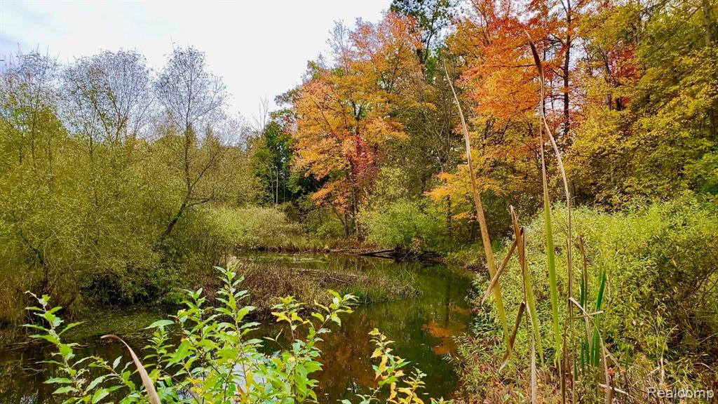 1 Wilder Road Lapeer, MI 48446 - Photo 9 of 20