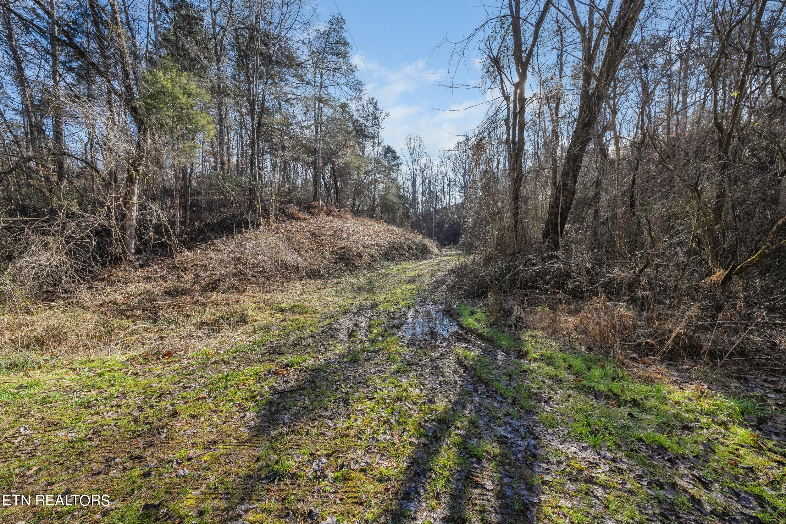 820 Old Gate Road Pigeon Forge, TN 37863 - Photo 14 of 31 dsc05302