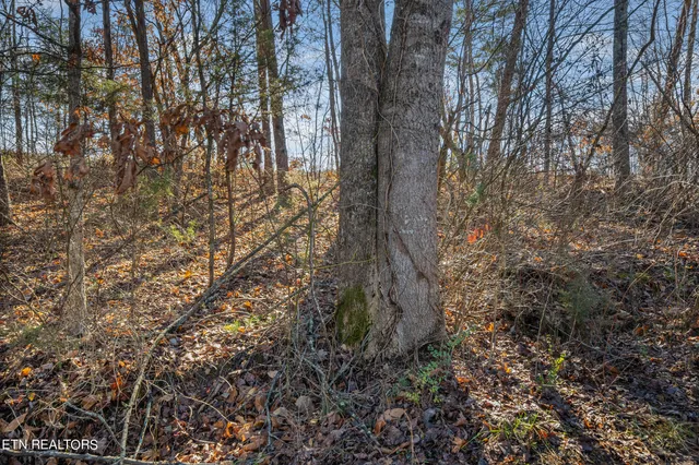 $7,500,000 | 820 Old Gate Road, Pigeon Forge, TN 37863