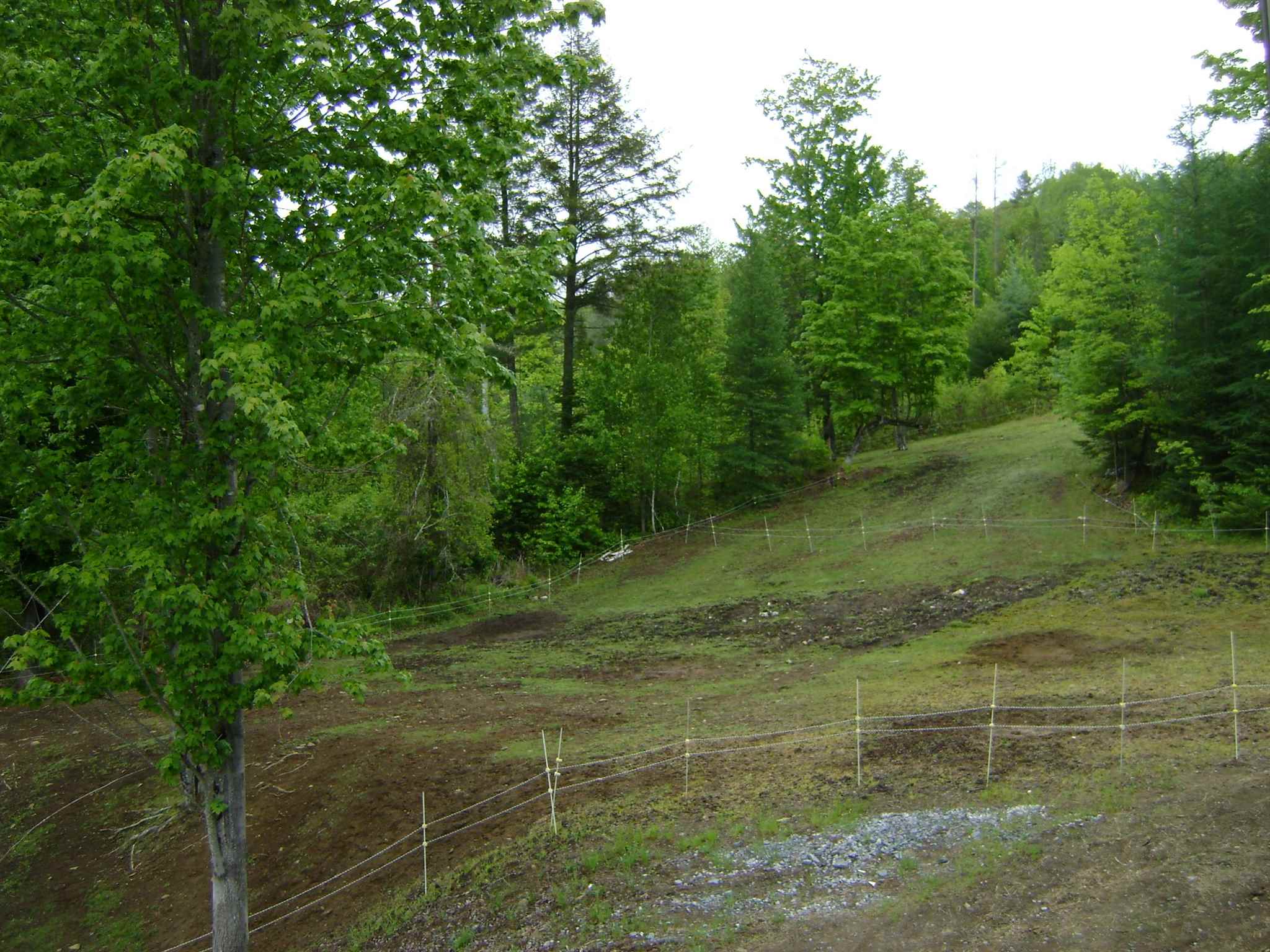 2053 Brook Road Corinth, VT 05039 - Photo 20 of 30