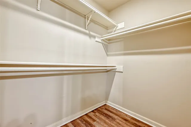 a view of staircase with rug floor and windows