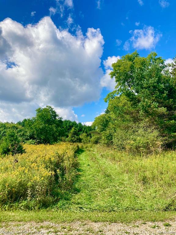 V/l Gardner Line Road Croswell, MI 48422 - Photo 2 of 6