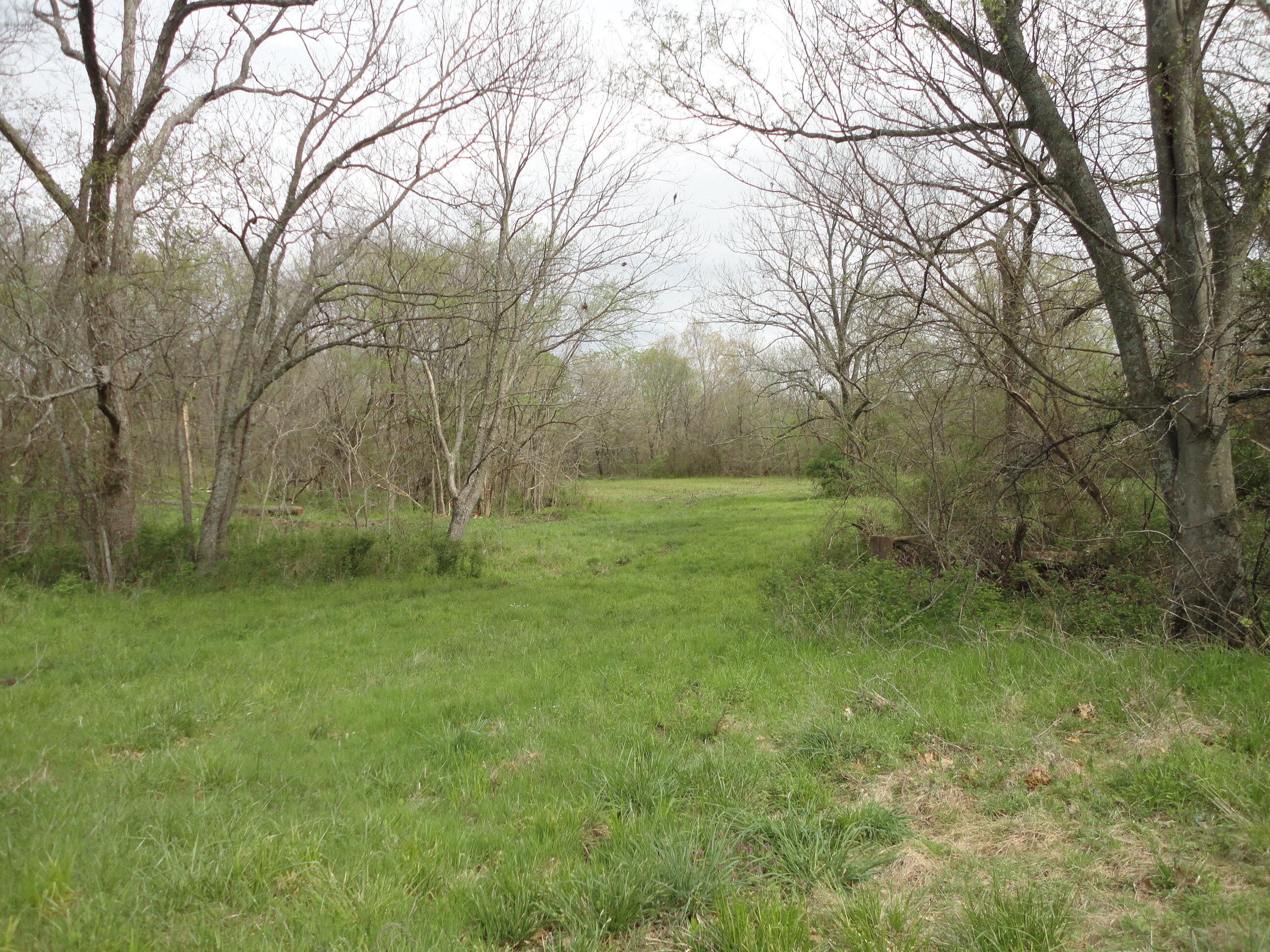 62185-9 270th Rd Grove East Grove, OK 74344 - Photo 12 of 22 DSC03223