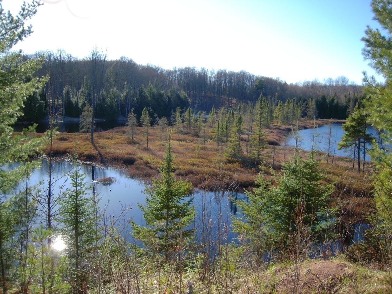 Off Off Chaney Cove Road, Unit 5 9 AC Wakefield, MI 49968 - Photo 19 of 38 Gallery Image 19
