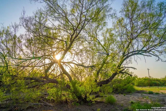 $3,700,000 | 0 Fm 1688, Crystal City, TX 78839