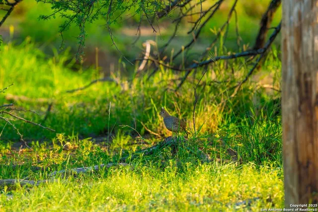 $3,700,000 | 0 Fm 1688, Crystal City, TX 78839