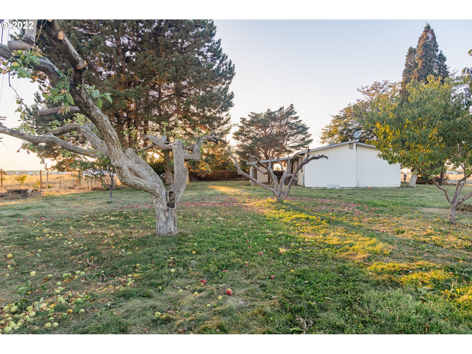1450 East Airport Road Hermiston, OR 97838 - Photo 20 of 23 Backyard