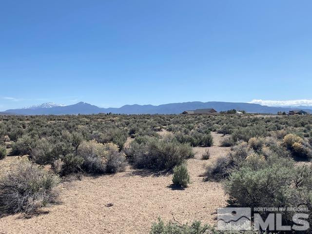78 Desert View Drive Smith Valley, NV 89430 - Photo 23 of 25 Photo 1