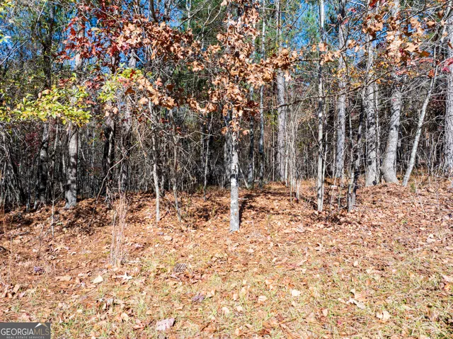 $39,900 | 2.19-acres Ridgeville Court, Tignall, GA 30668